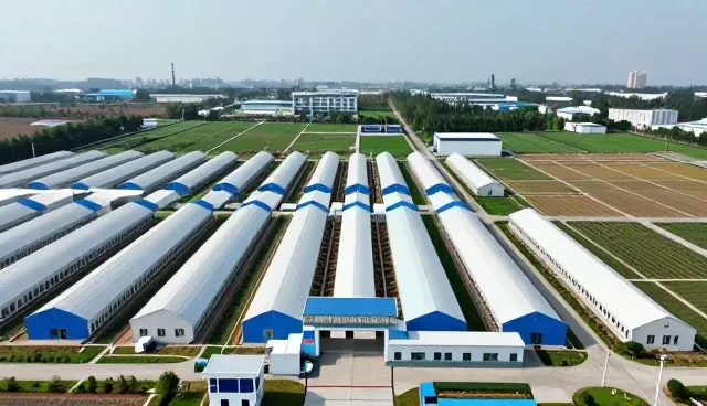 康复指导系统优化升级的关键关注点分析